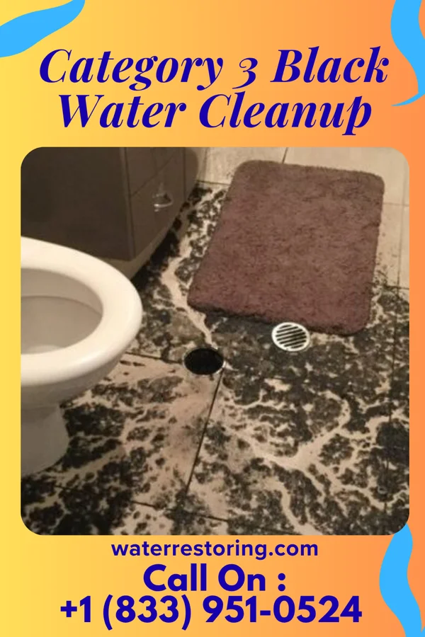 Category 3 Black Water Cleanup in Wyoming, DE